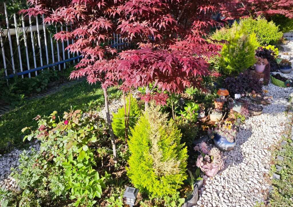 Jardines pequeños y sencillos