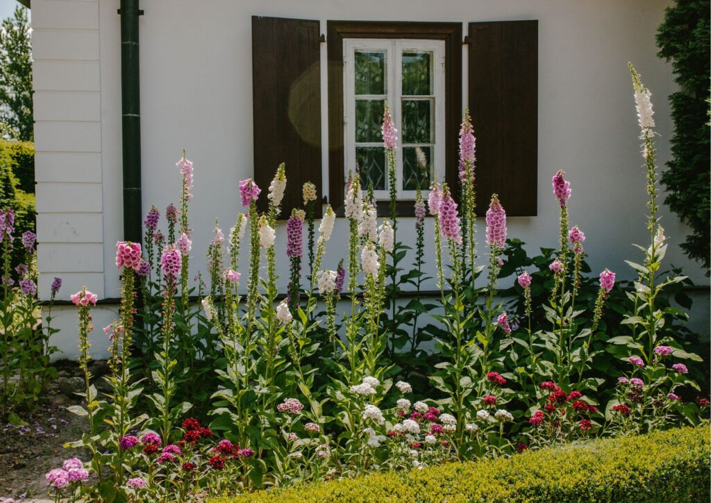 Jardines pequeños y sencillos