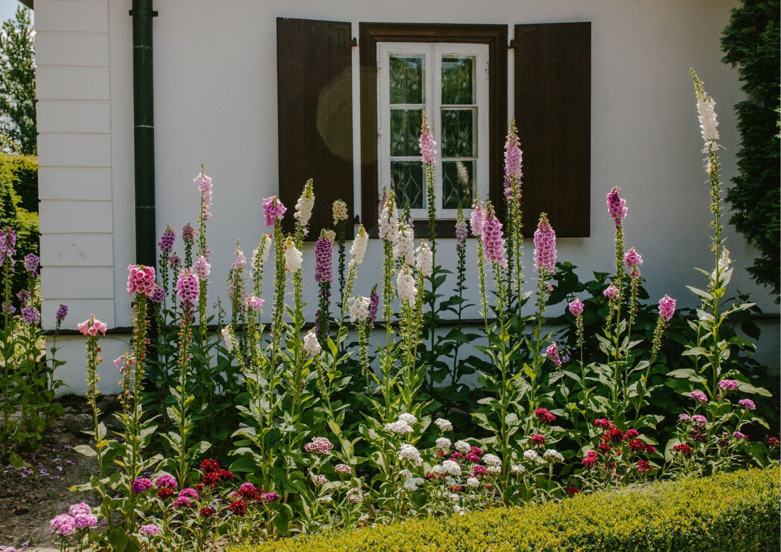 Jardines pequeños y sencillos